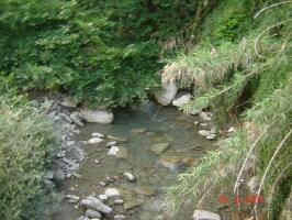 athamanio-11