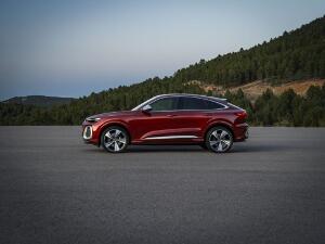 audi-sq5-2024-15